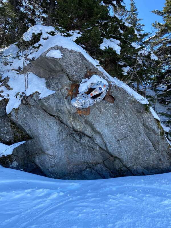 Montreal: Canadian Forest Guided Tour by Snowmobile - Should You Book the Laurentides Snowmobile Tour?