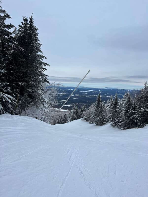 Montreal: Canadian Forest Guided Tour by Snowmobile - Weather, Clothing, and Changing Trail Locations