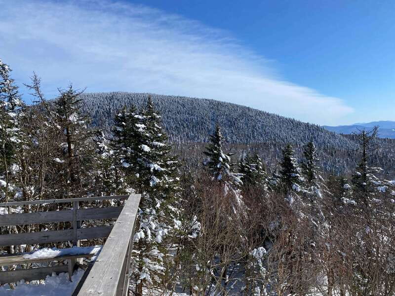 Montreal: Canadian Forest Guided Tour by Snowmobile - Booking Flexibility and Final Planning Tips