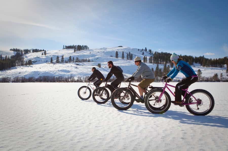 Montréal: Electric Fat Tire Bike Ride on Mount Royal - Meeting at 80 Prince Arthur East