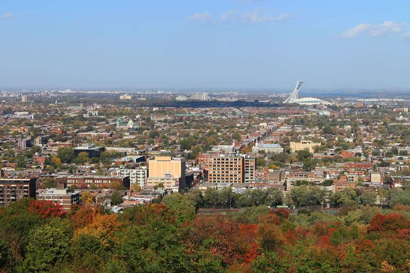 Montreal: Full-Day Small Group City Tour - How the pace and vehicle affect the day