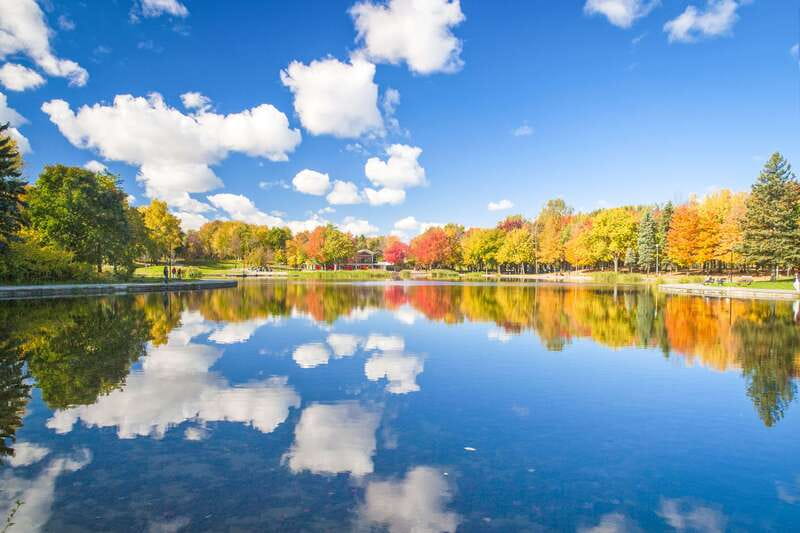 Montreal: Guided Bus Tour - Starting at Dorchester Square