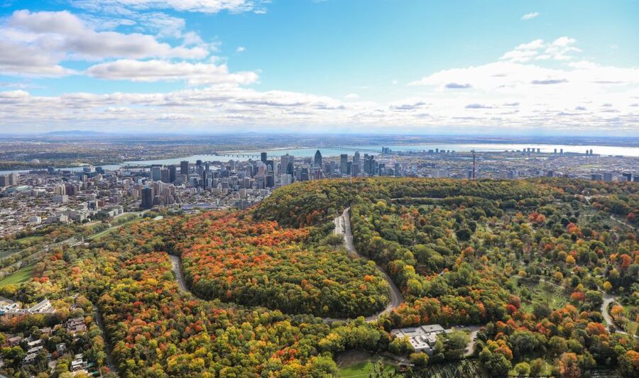 Montreal: Guided Helicopter Tour - Is $167 a fair price?