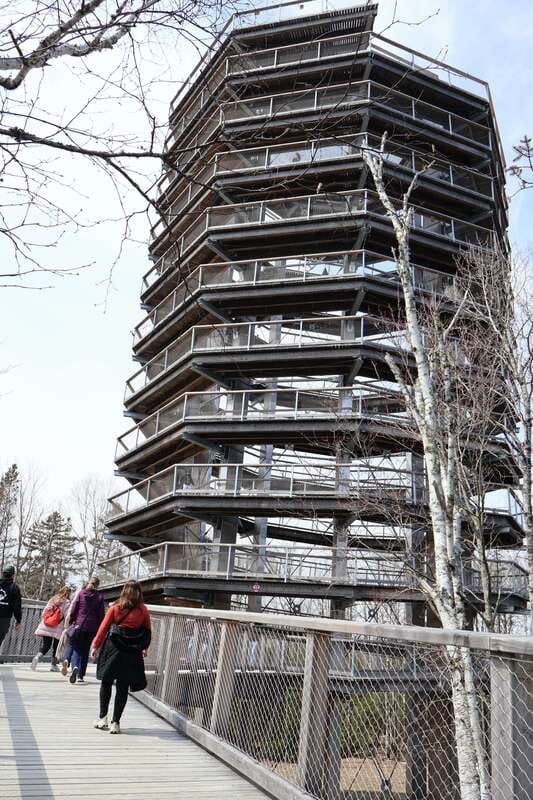 Montreal: Guided tour of the Laurentides Mont Tremblant - Saint-Sauveur gives the drive a useful pause