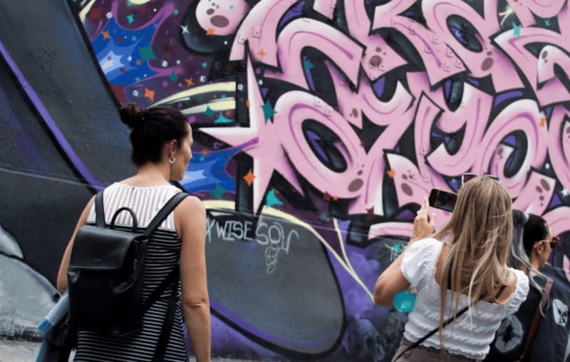 Montreal: Guided Walking Tour of Montreal's Murals - What the $25 price gets you