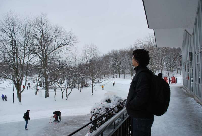 Montreal: Half-Day City Tour - The practical drawbacks to plan around