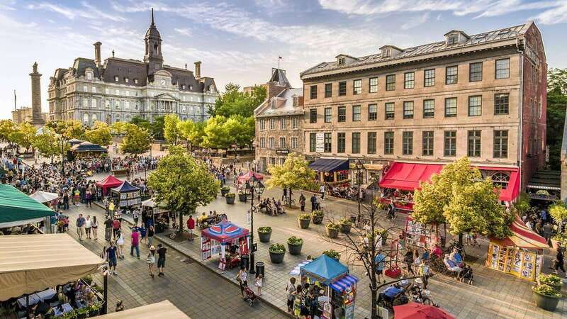 Montreal: Half-day Guided City Tour - Guide quality can shape the whole experience
