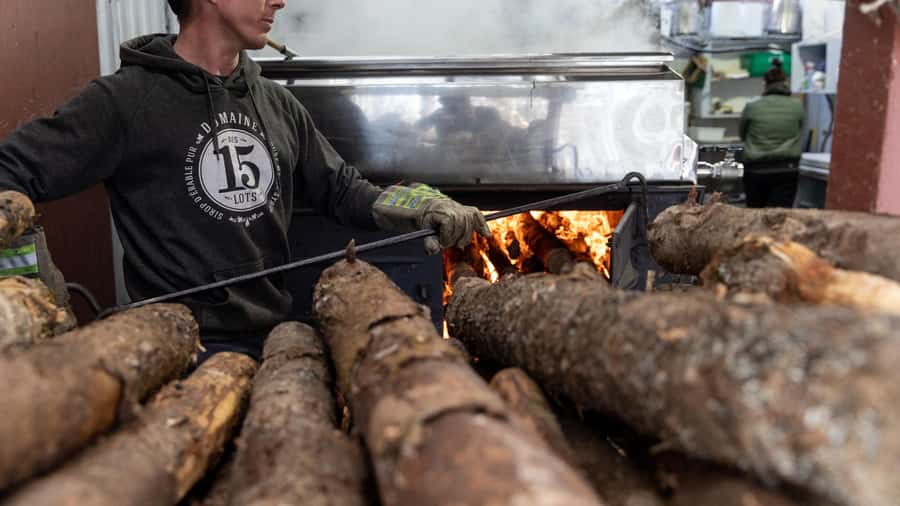 Montreal: Maple syrup talk and tasting! In French! - Should you book this maple tasting?