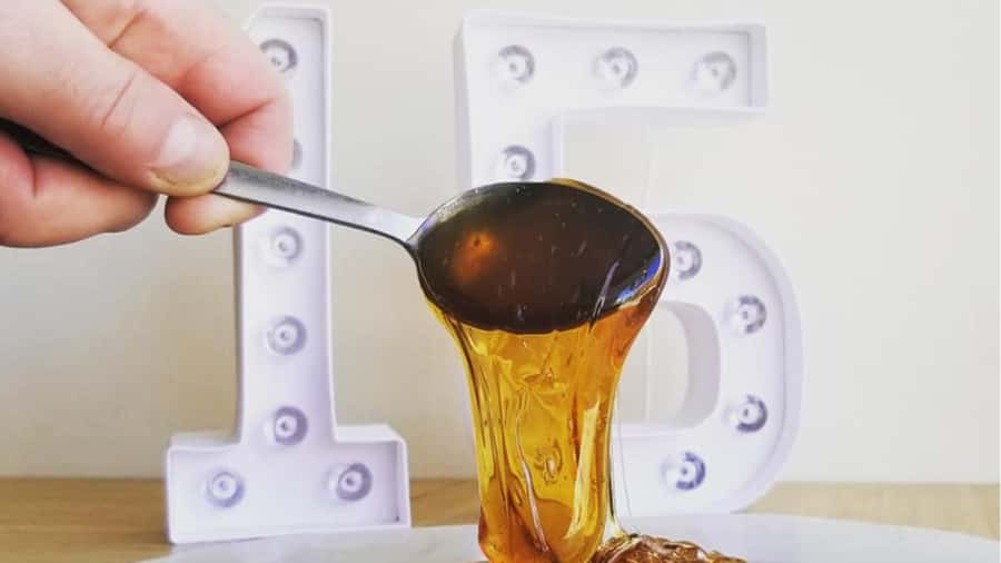 Montreal: Maple syrup tasting and conference. In english! - Tasting four different maple syrups