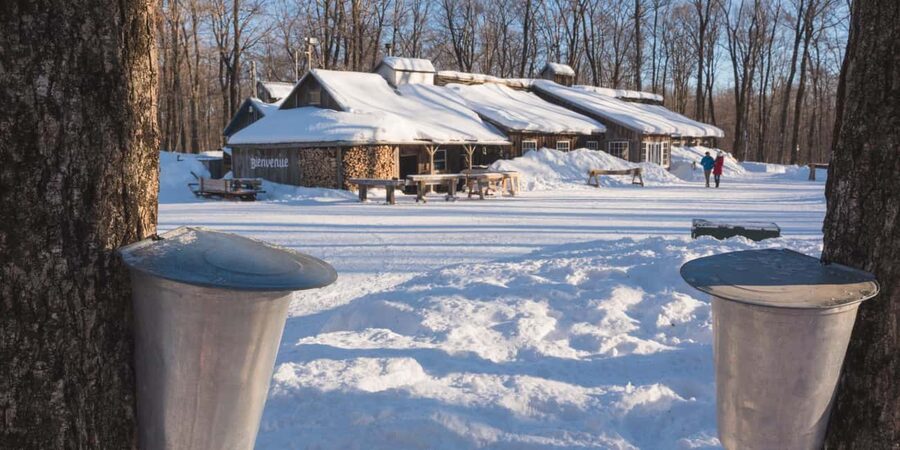 Montreal: Maple Syrup Tour with Sugar Shack & Local Cuisine - Leaving Montreal at 10 a.m.