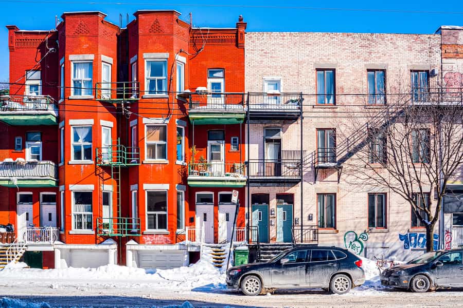 Montreal: Mile End Food Tour with 7 Local Favorites Tastings - Fresh Montreal bagels from a local bakery