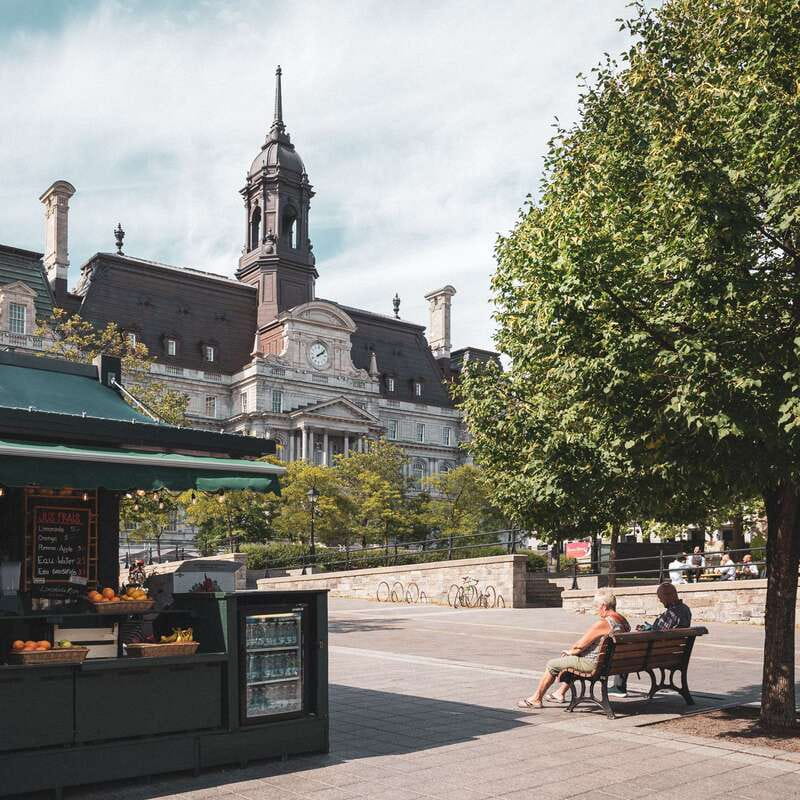 Montreal: Old Montreal Guided Walking Tour - The Saint Lawrence River viewpoint