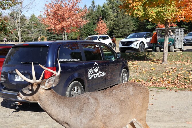 Montreal: Omega Park Canadian Wildlife Safari Adventure - Key points about the Omega Park safari