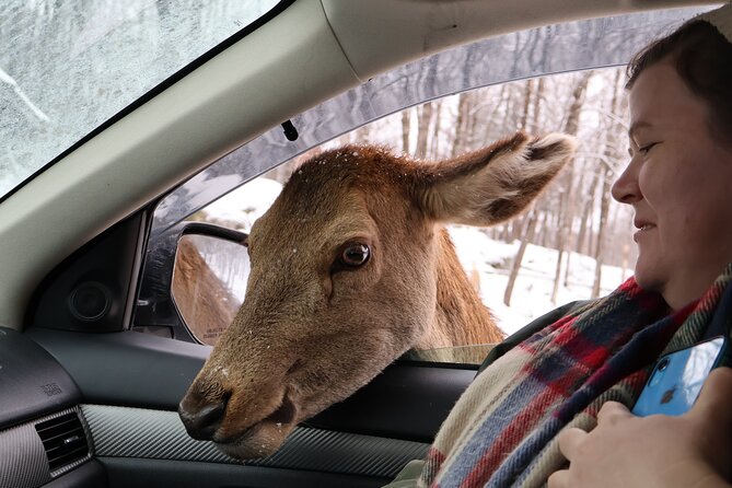 Montreal: Omega Park Canadian Wildlife Safari Adventure - Why Omega Park makes a good day trip from Montreal