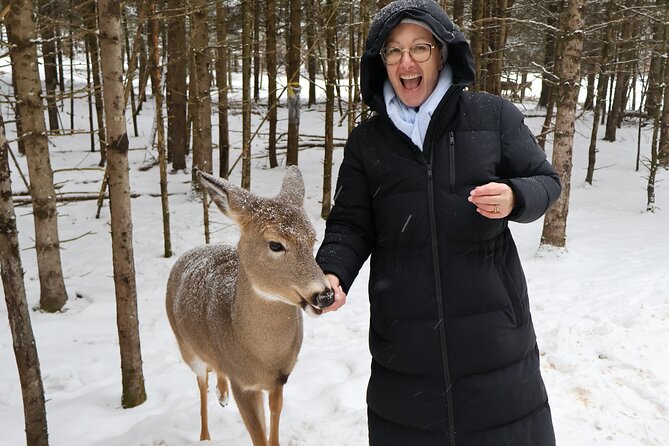 Montreal: Omega Park Canadian Wildlife Safari Adventure - Is $270.69 per person good value?
