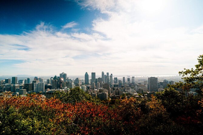 Montreal Premium Driving Tour with River Cruise and Notre Dame - La Grande Roue as the off-season replacement