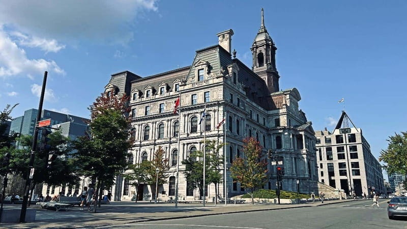 Montreal: Private 2h Walking Tour RESO and Old Montreal - Place Jacques-Cartier, City Hall, and Bonsecours Market