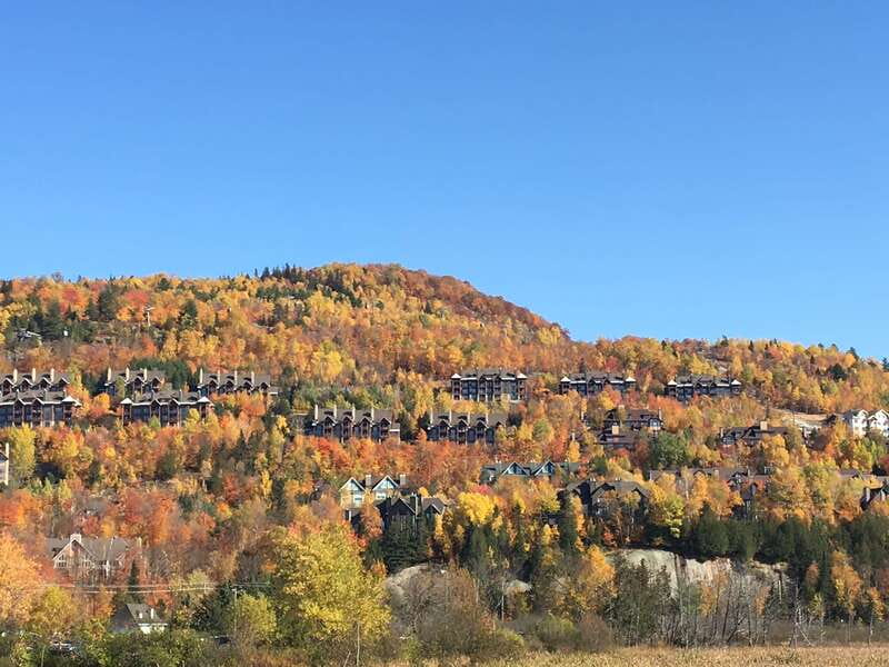 Montreal: Private Day Tour to Mont Tremblant - The Human Side of the Experience