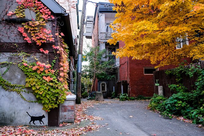 Montreal's Plateau Mont-Royal and Mile End Tour by MTL Detours - Timing, route, and physical demands