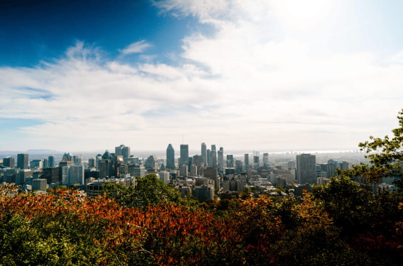 Montreal: Small Group Tour with River Cruise and Notre Dame - Who should book this Montreal experience?