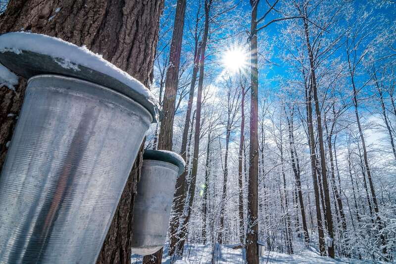 Montreal: Sugar Shack Maple Syrup Day Trip with Lunch - Key points at a glance