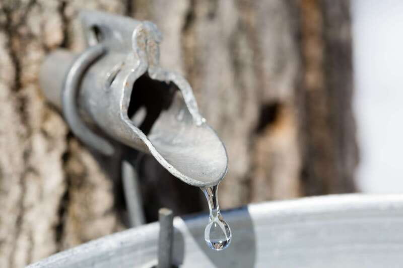 Montreal: Sugar Shack Maple Syrup Day Trip with Lunch - How the maple-making explanation works