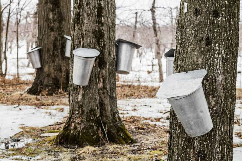 Montreal: Sugar Shack Maple Syrup Day Trip with Lunch - What the private format adds at $266