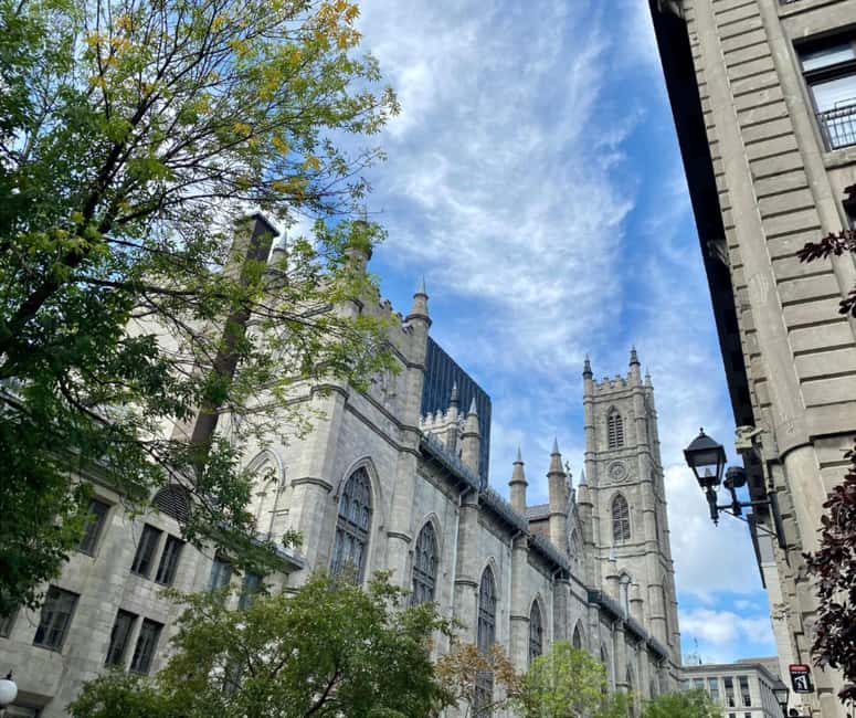 Montréal: The Original Old Montréal Walking Tour - Comfort, access, and timing