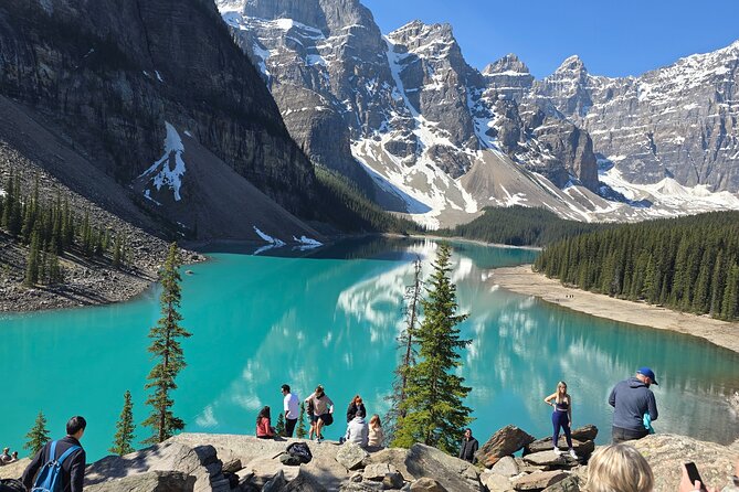 Moraine Lake and Lake Louise Half Day Tour - What the guide adds to a shuttle-style outing