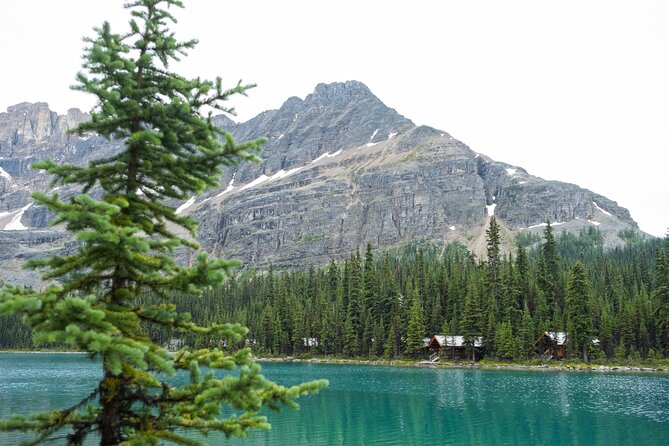 Moraine Lake and Lake Louise Sightseeing Half Day Tour - What the guides add to the experience
