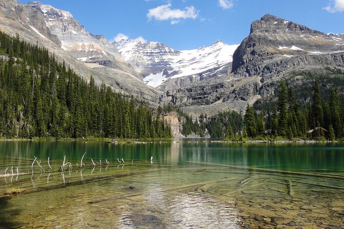 Moraine Lake and Lake Louise Sightseeing Half Day Tour - Timing, crowds, and useful preparation