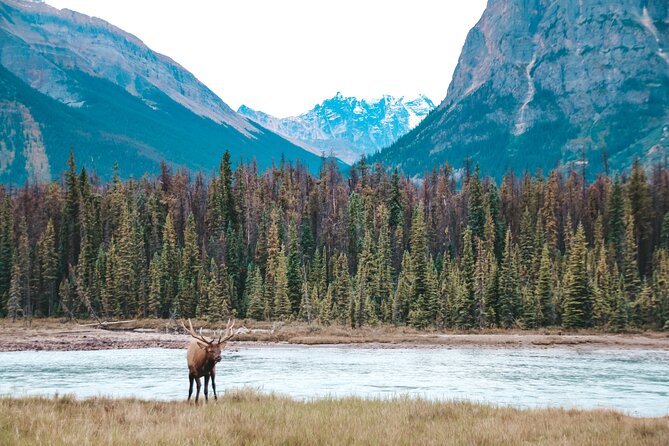 Moraine Lake, Lake Louise & Banff Secrets | Award-Winning Tour - Moraine Lake, the Harder Ticket