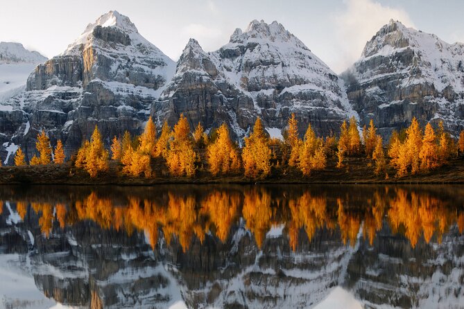 Moraine Lake & Lake Louise Sunset & Wildlife Adventure - Why this evening trip works well in Banff