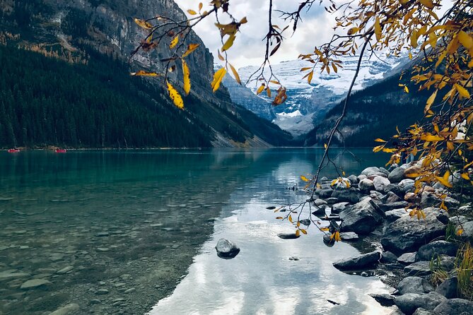 Moraine Lake & Lake Louise Sunset & Wildlife Adventure - Lake Louise and Victoria Glacier