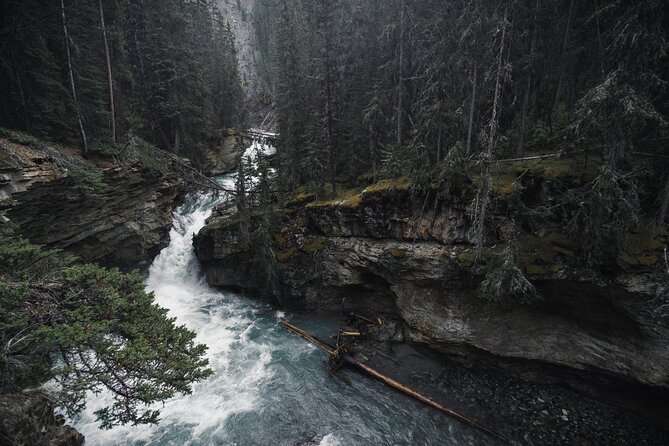 Moraine Lake & Lake Louise Sunset & Wildlife Adventure - Who should book this Banff tour?