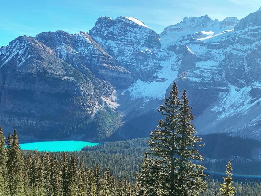 Moraine Lake & Larch Valley Hike - Key points to know before booking