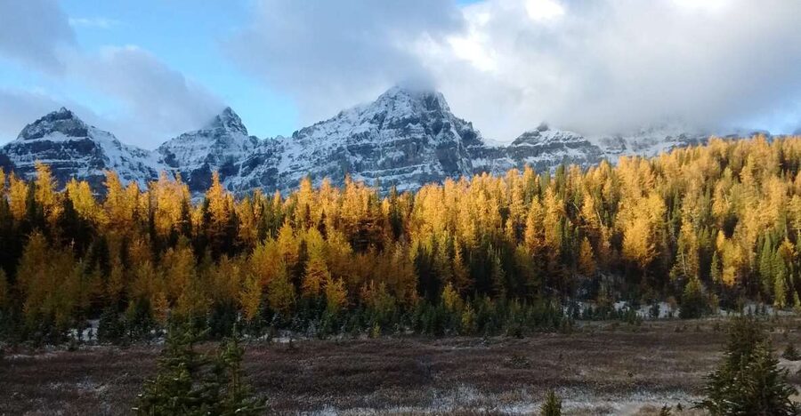 Moraine Lake & Larch Valley Hike - What the hike itself is like