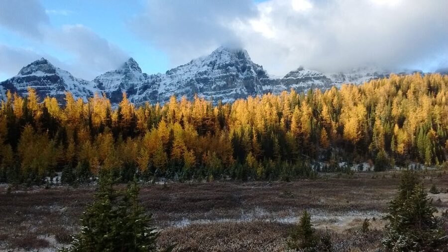 Moraine Lake & Larch Valley Hike - Who should book this hike?