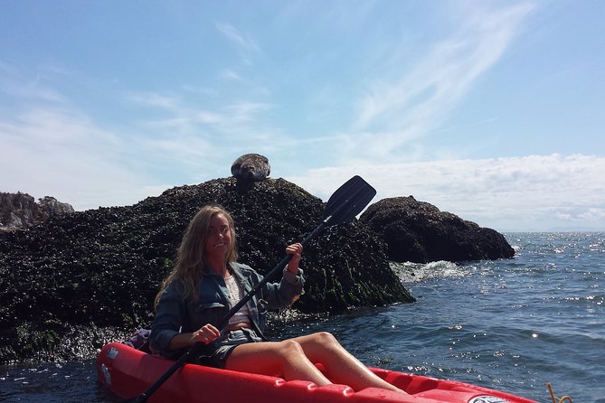Morning Kayak & Seal Cruise in Vancouver - Key Points at a Glance