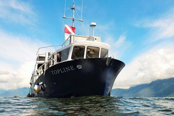 Morning Kayak & Seal Cruise in Vancouver - Practical Tips Before You Go