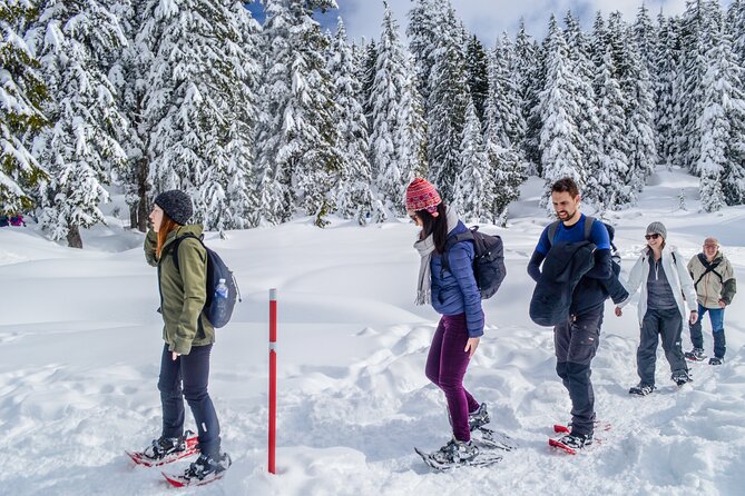 Mountain Snowshoeing & Photography - The trail difficulty deserves honest attention