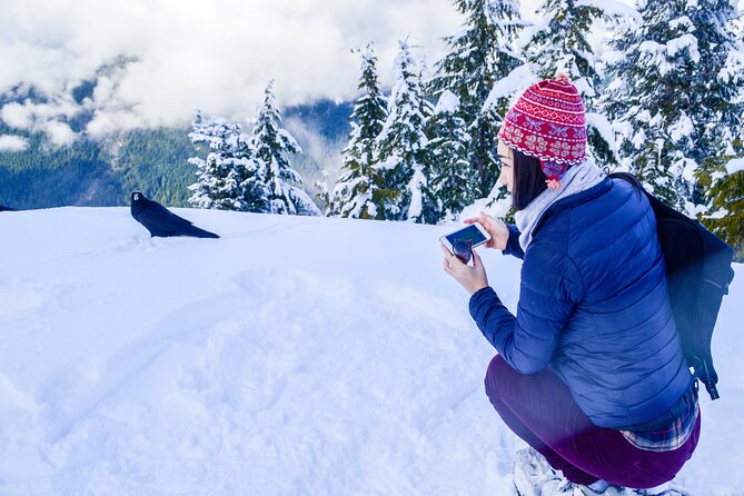 Mountain Snowshoeing & Photography - Weather can change the character of the day