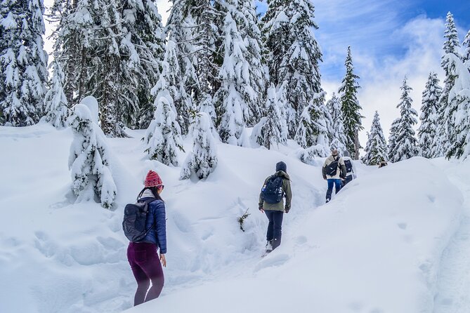 Mountain Snowshoeing & Photography - Why the small group makes a difference