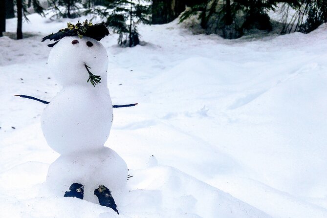 Mountain Snowshoeing & Photography - Photography with a guide, not just a camera break