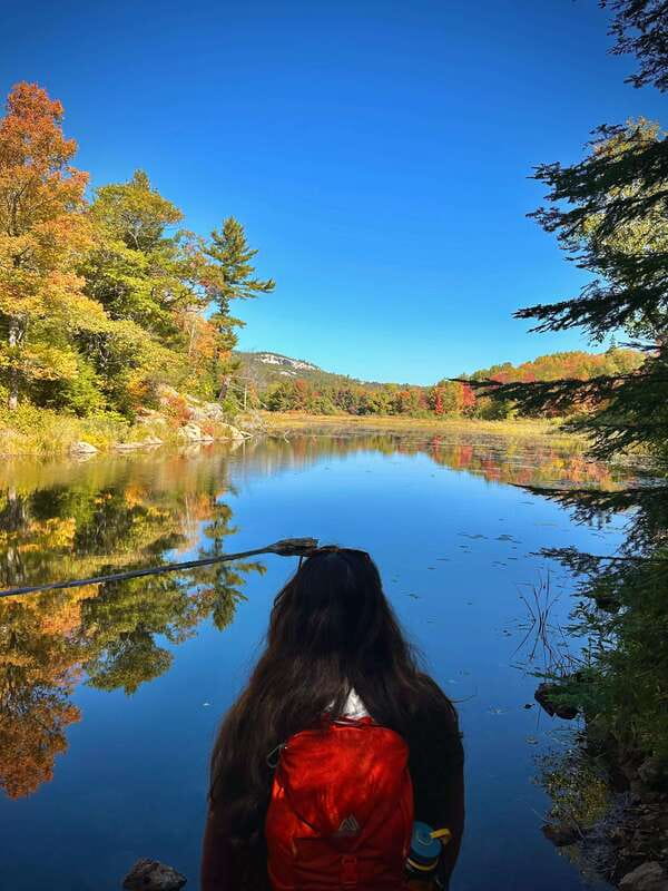 Muskoka: High Falls, Hardy Lake, & Huckleberry Rock Tour - Who will enjoy this tour most?