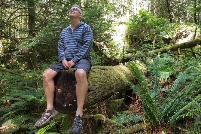 Mystical Rainforest Tour - Forest Magick - Stop Two: a West Coast temperate rainforest