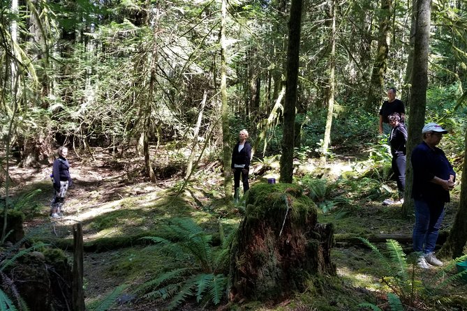 Mystical Rainforest Tour - Forest Magick - Ending beside a 650-year-old Douglas fir