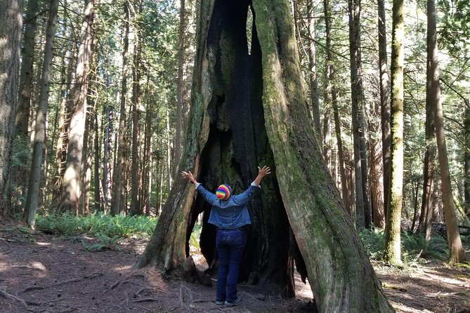 Mystical Rainforest Tour - Forest Magick - Why the six-person limit matters