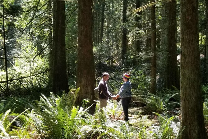 Mystical Rainforest Tour - Forest Magick - Stop One: elemental work among the trees