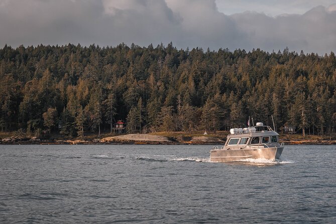 Nanaimo Whale Watching in a Semi-Covered Boat - Leaving Nanaimo for the Salish Sea